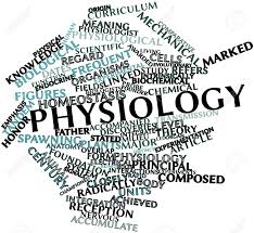 Physiology 2 for medicine