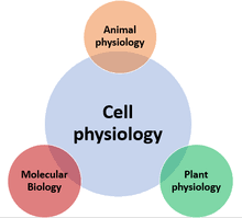 Cell physiology for medicine