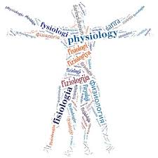 Physiology3 for medicine