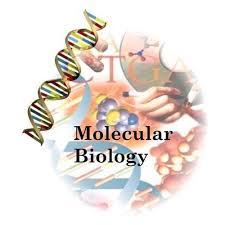 Molecular biology  for Medical lab